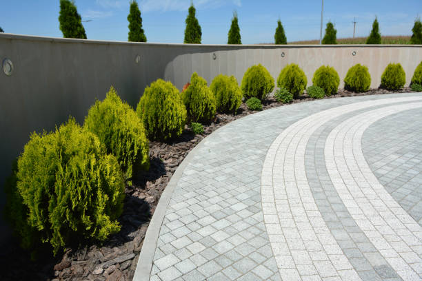 Best Local Driveway Pavers  in Centreville, MS